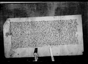 Hans Jakob und Eitelhans von Bodman versprechen Kaspar von Klingenberg schadlos zu halten, als er sich als ihr Gewähr gegen ihren Schwager Berthold von Windegg verschrieben hat.