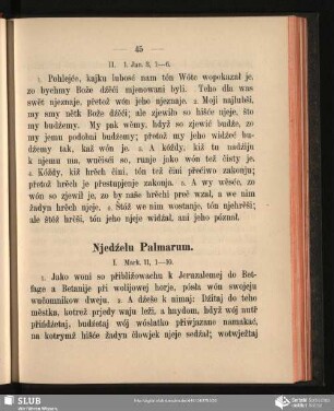 Njedźelu Palamarum