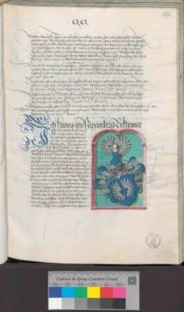 Hans von Nippenburg