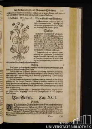Cap. XCI. Von Beifuß.