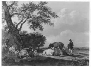 Bayerische Viehweide