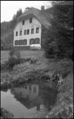 Oberprechtal: Forellenzucht, Teich mit Forellen, mit Gasthof