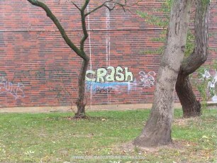 cRaSh | SwS MKS | NELLY