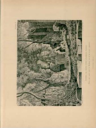 Ruins de Banh-Yong (Cambodge Siamois)