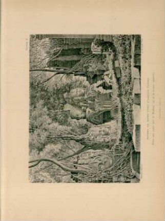 Ruins de Banh-Yong (Cambodge Siamois)