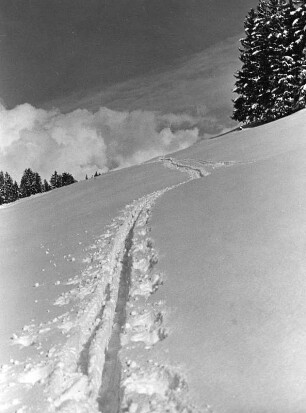 Spuren im Schnee