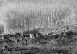 Landschaft : Landschaft mit Euphorbien (Euphorbia)