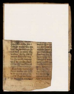 Evangelium secundum Matthaeum, mnd. (Fragment)