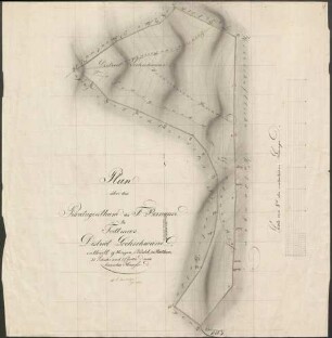 Plan über das Privateigenthum des F. Bernauer zu Todtmoos District Lochschweine