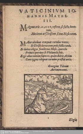Vaticanium Johannis Mathesii
