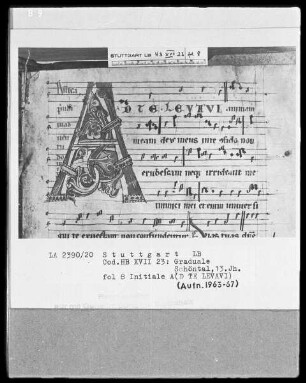 Graduale — Initiale A(d te levavi), Folio 8recto
