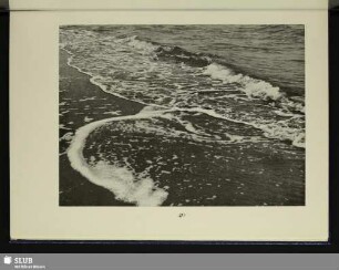 Nordsee-Welle