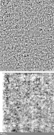 Lilienschild + IESV / LW = S.713/714+751/752