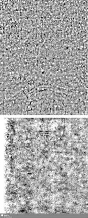 Lilienschild + IESV / LW = S.713/714+751/752