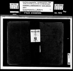 Divisions-Fernsprechabteilung 428 [Divferna 428]