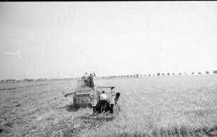 Mähdrusch mit Claas Super 500 und Eberhard Rotorkrümler