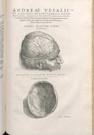 Prima Septimi Libri Figura. Primae Figvrae, Eivsdemqve characterum Index. [bis Decimaoctava Septimi Libri Figura.]