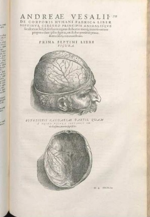 Prima Septimi Libri Figura. Primae Figvrae, Eivsdemqve characterum Index. [bis Decimaoctava Septimi Libri Figura.]