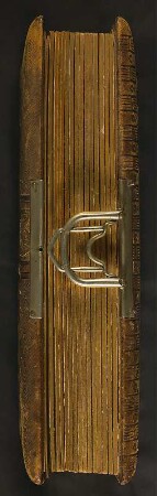 Familienalbum : Familienalbum. Ledereinband mit Goldprägung, Metallschließe und Goldschnitt; 29 x 23 x 6 cm (um 1900). Dresden: SLUB/DF 2017.C.81