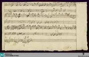 Symphonies. Sketches - Mus. Hs. Molter Anh. 48 : E; BrinzingMWV 7.123