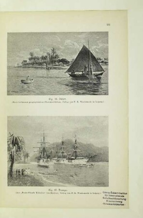 Fig. 37. Ponape