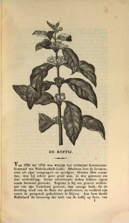 Bijdragen tot de Kennis van de voornaamste voortbrengselen van Nederlandsch Indië. 2. 1861