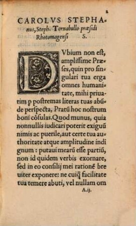 Pratum lacus, arundinetum