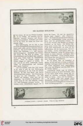 Die kleinen Mitläufer