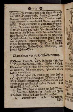244-254, Chaemaeleon verus - Chelidonium majus