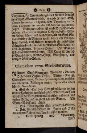 244-254, Chaemaeleon verus - Chelidonium majus