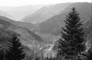 Wildgutach: Blick von der schönen Aussicht ins Tal mit Wildgutach