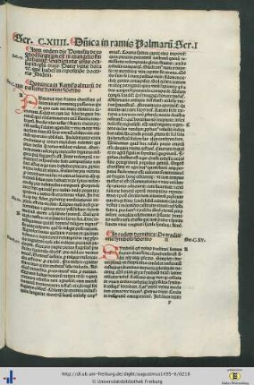Dominica in Ramis palmarum