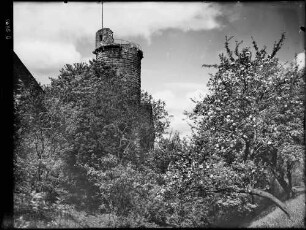 Külsheim Schloss-Burg Külsheim Turm (ehemaliger Bergfried) von Nordosten