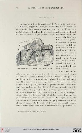 § 4: Les animaux