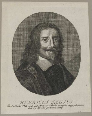 Bildnis des Henricus Regius