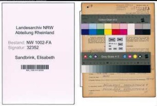 Entnazifizierung Elisabeth Sandbrink, geb. 01.08.1888 (Kauffrau)