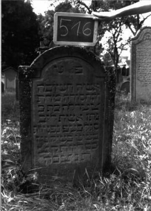 Grabstein 516 (Index: 100102594) Material: Sandstein Zustand: stellenweise leicht verwittert Maße HxBxT: 103x58x6 cm Beschreibung: Stele, eingezogener Rundbogenabschluss, Schriftfeld eingetieft: Grabstein 516