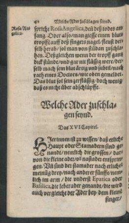 Welche Ader zuschlagen seynd. Das XVI Capitel.