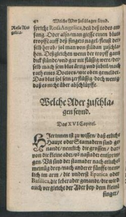 Welche Ader zuschlagen seynd. Das XVI Capitel.