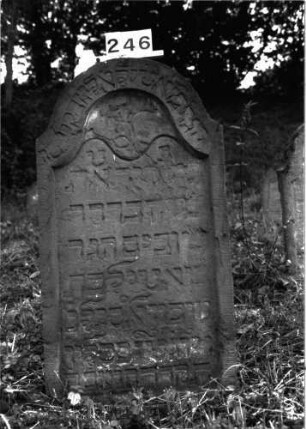 Grabstein 246