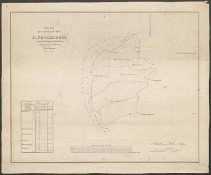 Plan über den Gemeinde-Wald von Eichtersheim auf dortiger Gemarkung