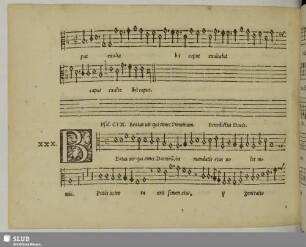XXX. Ducis, Benedictus: Beatus vir qui timet Dominum