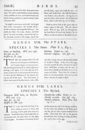 Genus XVII. The Stare