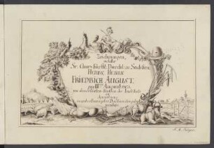 Titelblatt : Titelblatt zu Band 2: Zeichnungen welche Sr: Chur-Fürstl: Durchl: zu Sachß: [et]c Herrn Herrn Friedrich August am IIIten August .... von den Soldaten-Knaben des Erziehungsinstituts zu Annaburg in unterthänigster Devotion dargelegt werden. - [S.l.], 1803