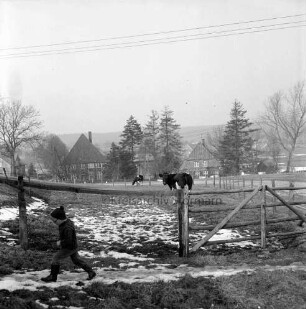 Groß Barnitz: Landwirtschaft: Hauskoppel mit schwarzbunten Kühen: dahinter Bauernhäuser und Bäume: vorn links Kind: Winter