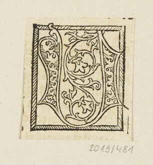 Florales Ornament, aus: „Eingerahmte Ornamente“