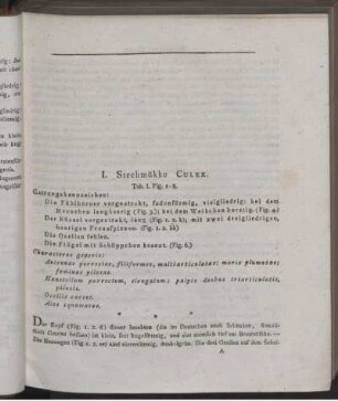 I. Stechmükke Culex.