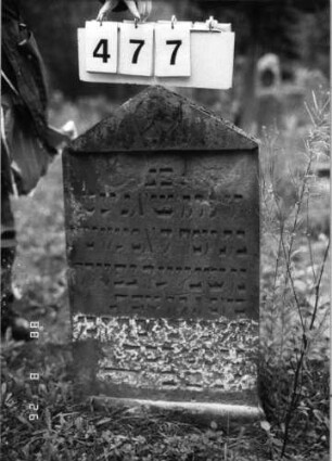 Grabstein 477 (Index: 100095259) Maße HxBxT: 66x43x13 cm Besonderheit: Kindergrab: Grabstein 477
