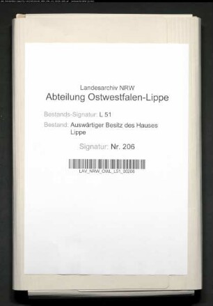 Finanzielle und rechtliche Angelegenheiten von Vianen unter den Herren von Brederode und unter Lippe