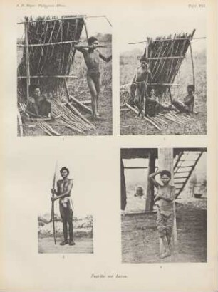 Tafel VII. Negritos von Luzon